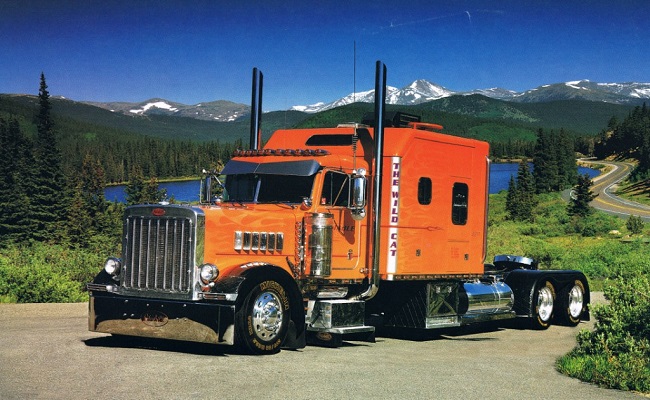 10 Things to Know Before Buying Custom Truck