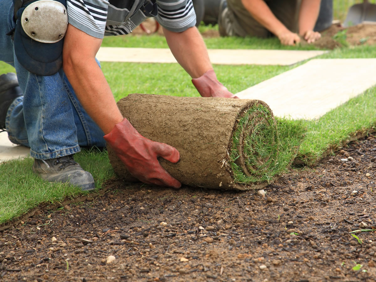 Top 10 Landscaping Companies In The USA Fueloyal